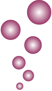 Bolletjes Annemiek van Soest